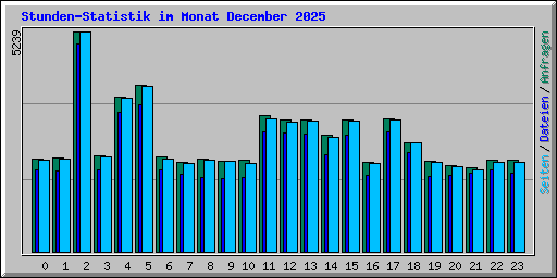 Stunden-Statistik im Monat December 2025